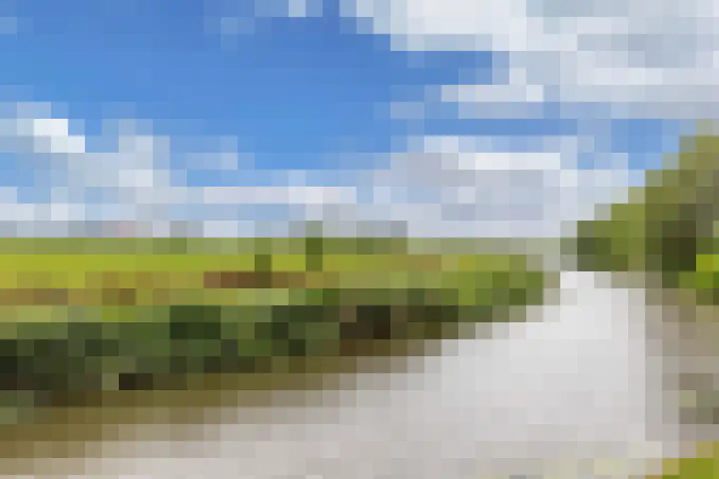Terp 38 Wommels thumbnail 55