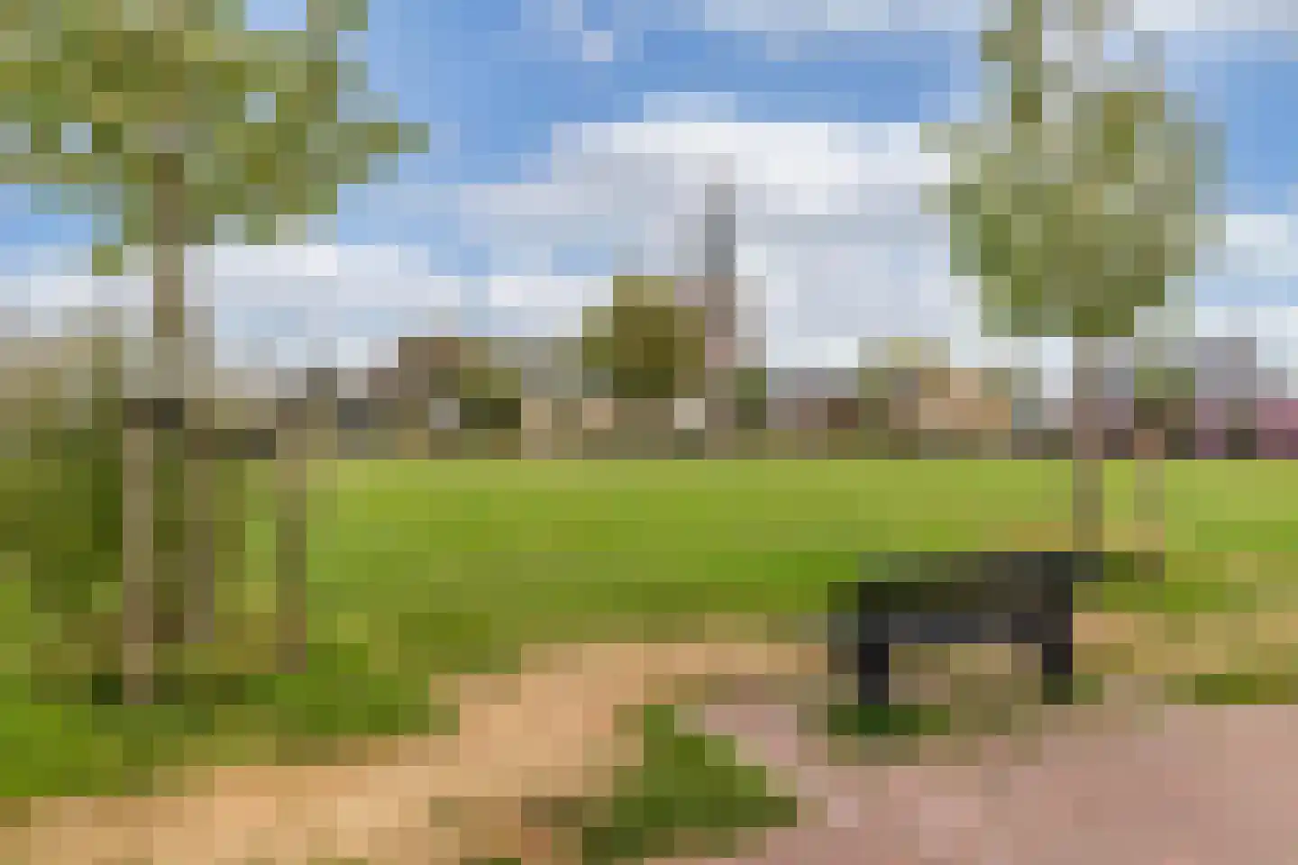 Terp 38 Wommels thumbnail 63