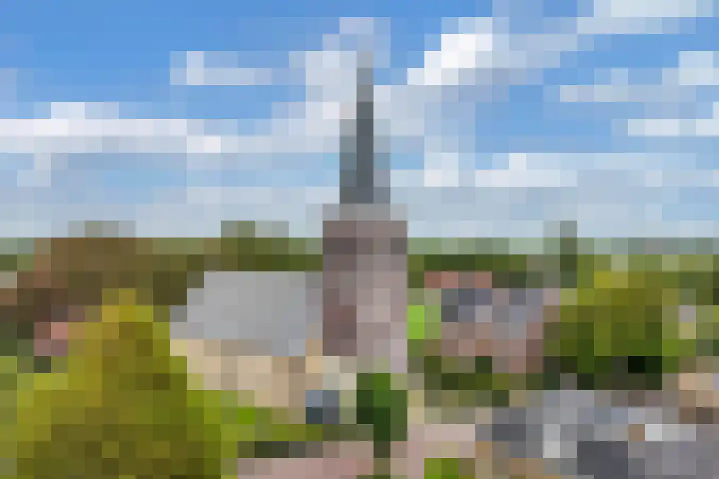 Terp 38 Wommels thumbnail 64