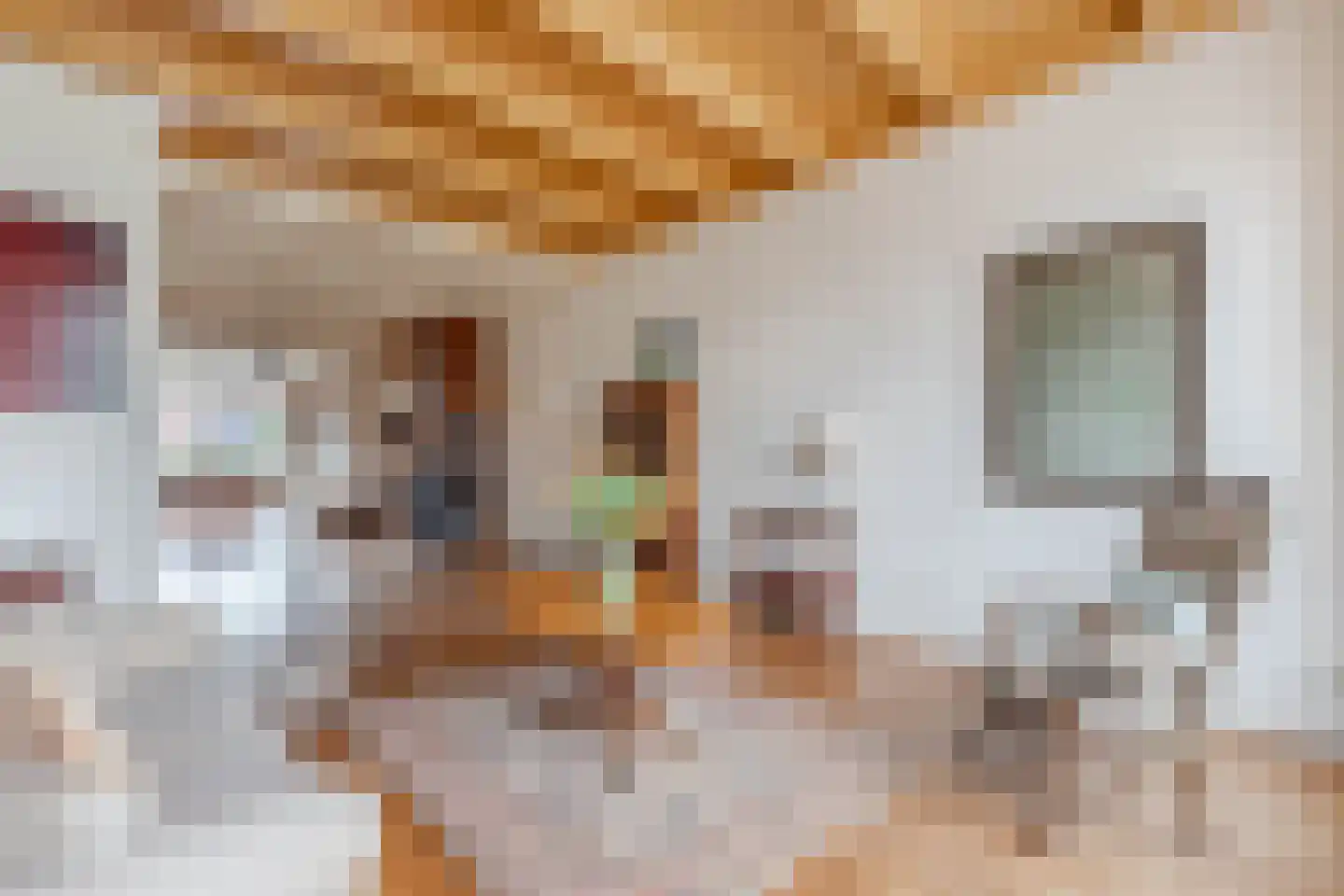 Terp 38 Wommels thumbnail 8