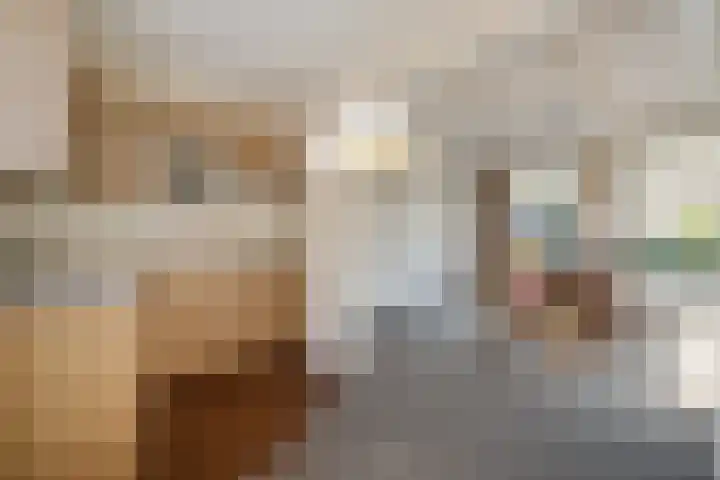 Terp 46 Wommels thumbnail 11