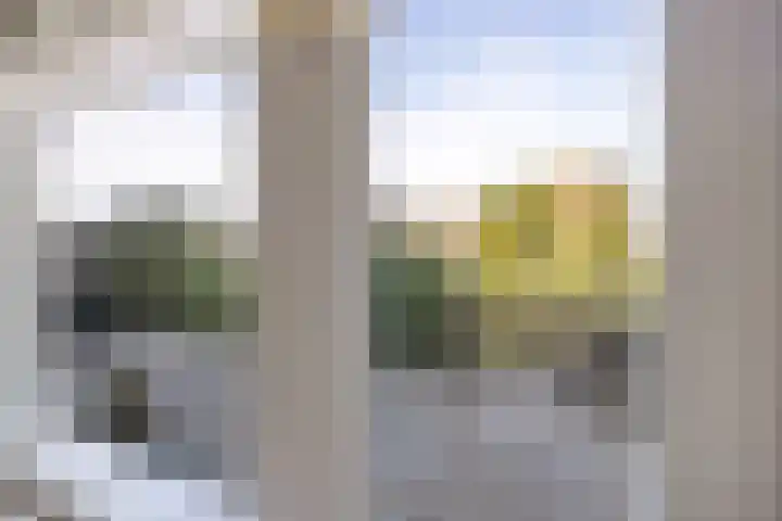 Terp 46 Wommels thumbnail 18