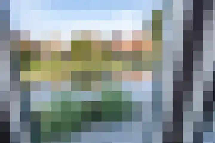 Terp 46 Wommels thumbnail 31