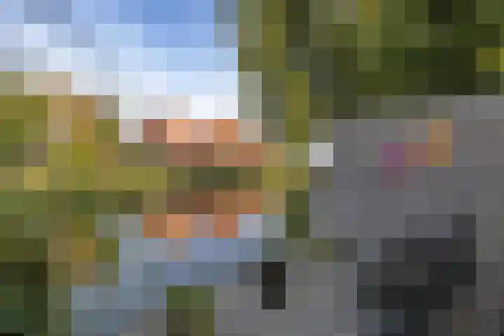 Terp 46 Wommels thumbnail 4