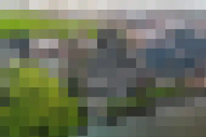 Terp 46 Wommels thumbnail 44