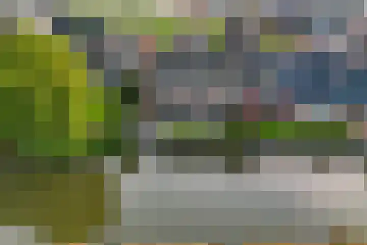 Terp 46 Wommels thumbnail 45