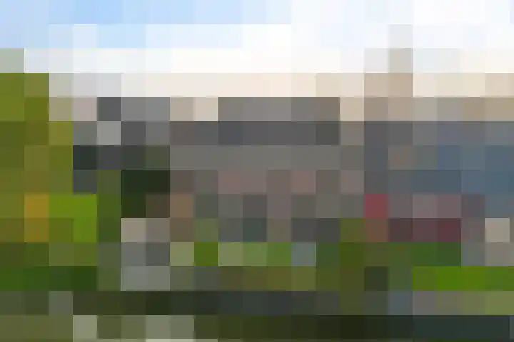 Terp 46 Wommels thumbnail 46