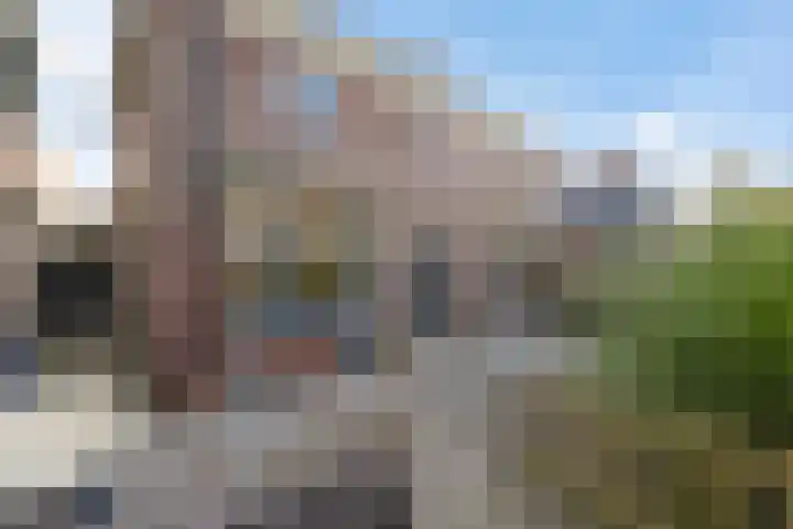 Terp 46 Wommels thumbnail 47