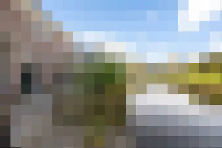 Terp 46 Wommels thumbnail 48