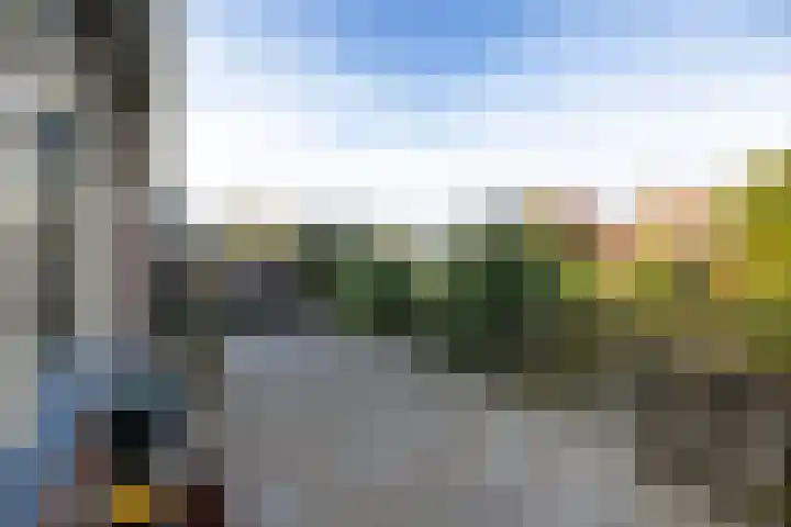 Terp 46 Wommels thumbnail 49