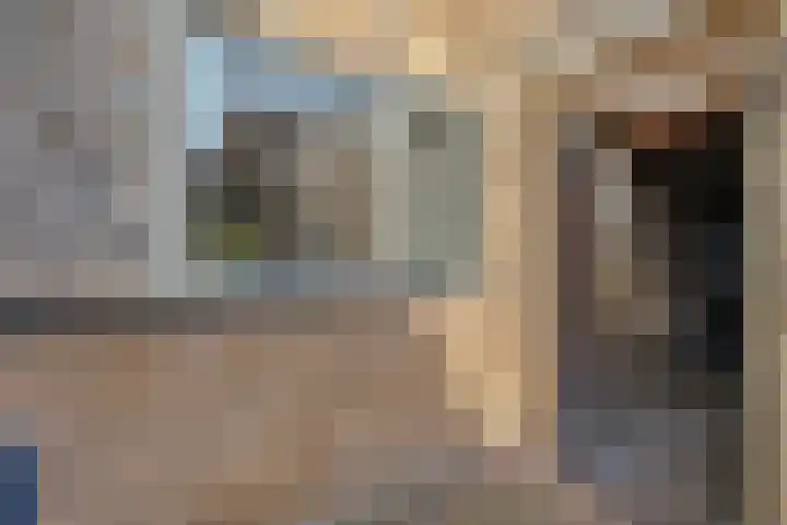 Terp 46 Wommels thumbnail 5