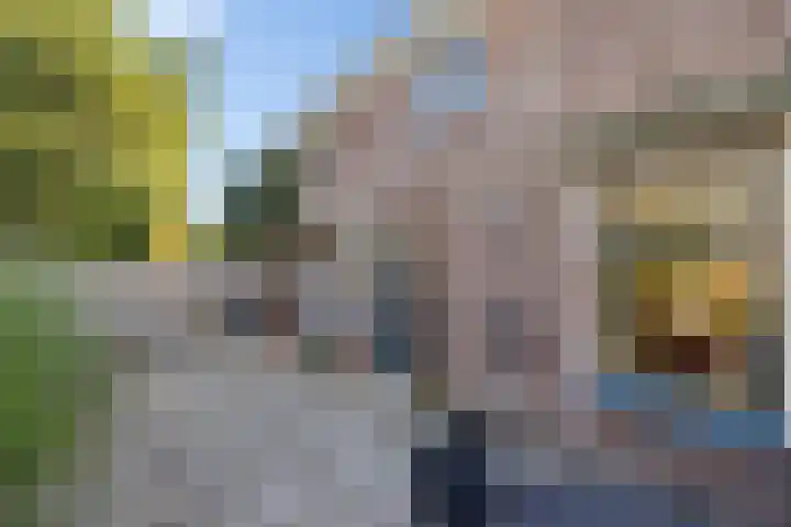 Terp 46 Wommels thumbnail 50