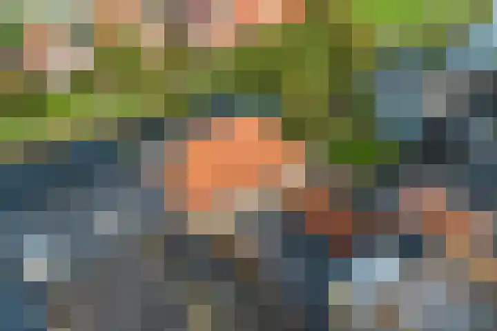 Terp 46 Wommels thumbnail 52