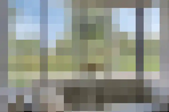 Terp 5 Kampen thumbnail 16