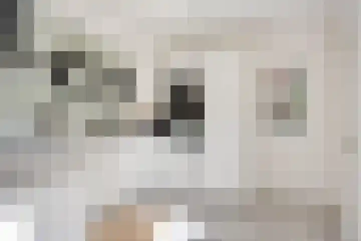 Terp 5 Kampen thumbnail 25