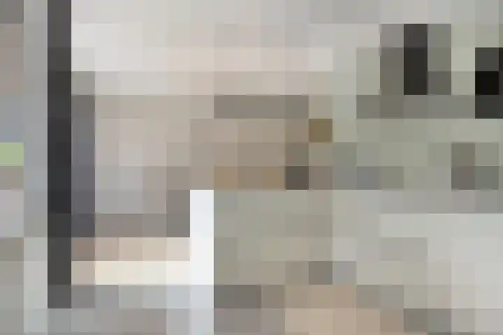 Terp 5 Kampen thumbnail 28