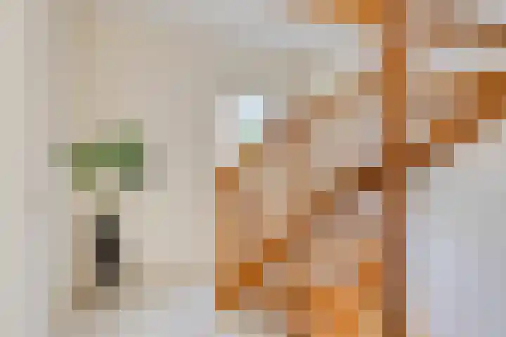 Terp 5 Kampen thumbnail 31
