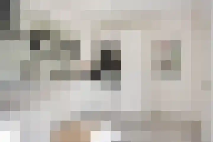 Terp 5 Kampen thumbnail 4
