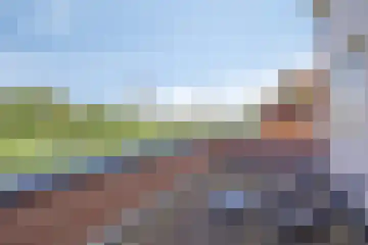 Terp 5 Kampen thumbnail 43