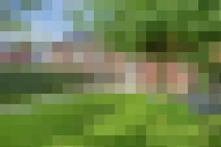 Terp 5 Kampen thumbnail 49