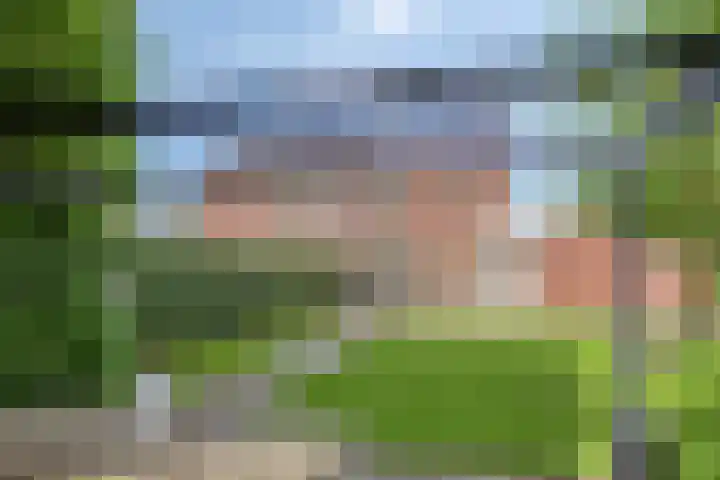 Terp 5 Kampen thumbnail 50