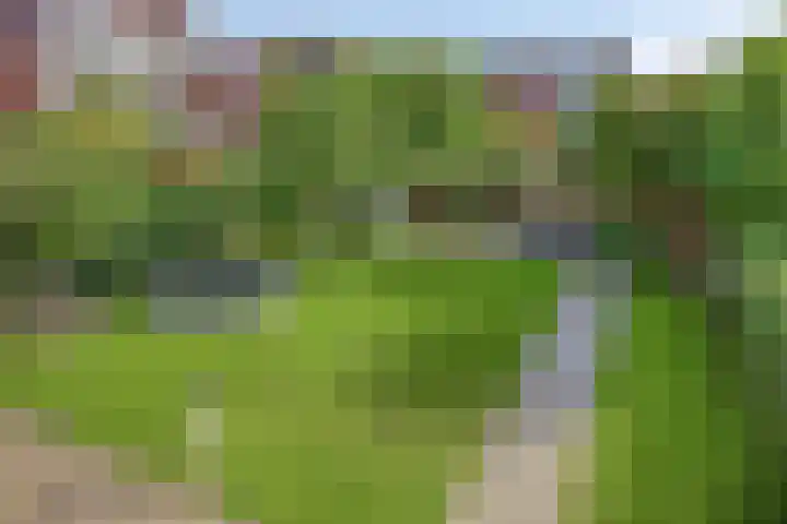 Terp 5 Kampen thumbnail 51