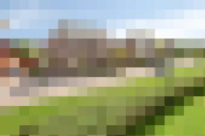 Terp 5 Kampen thumbnail 6
