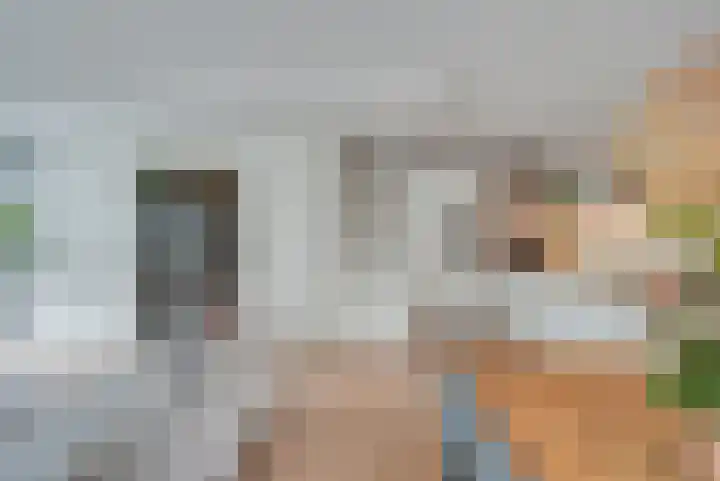 Terp 6 Alkmaar thumbnail 11