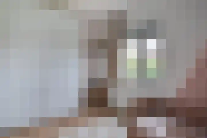 Terp 6 Alkmaar thumbnail 17
