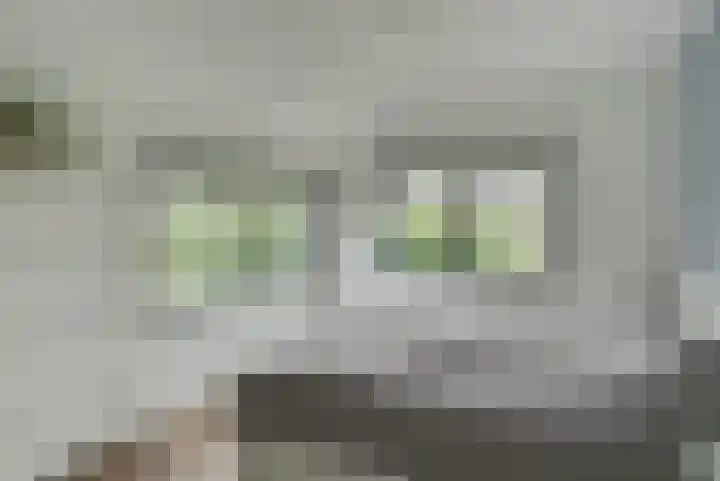 Terp 6 Alkmaar thumbnail 19