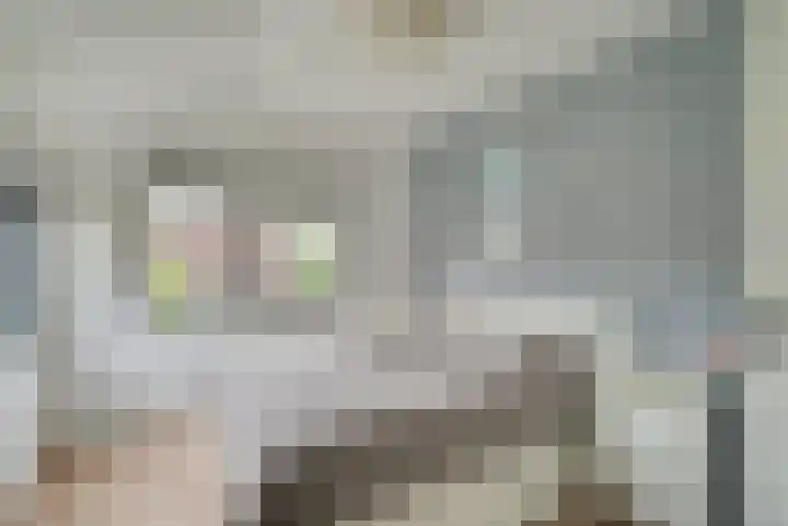 Terp 6 Alkmaar thumbnail 20