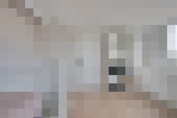 Terp 6 Alkmaar thumbnail 28