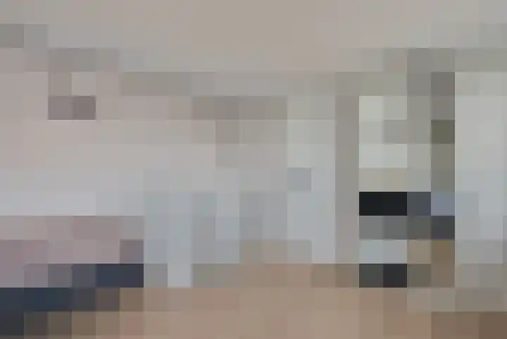 Terp 6 Alkmaar thumbnail 29