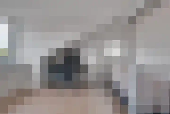 Terp 6 Alkmaar thumbnail 30