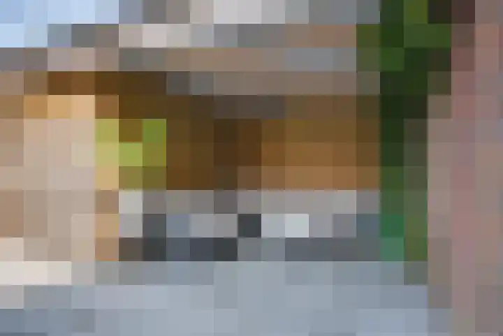 Terp 6 Alkmaar thumbnail 36
