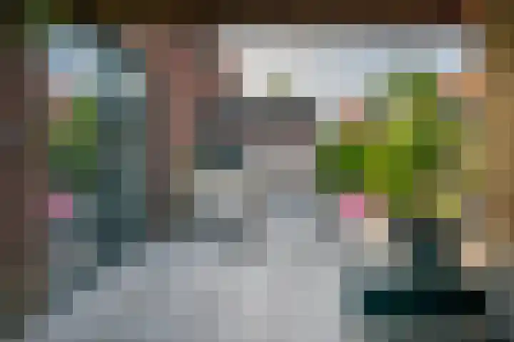 Terp 6 Alkmaar thumbnail 37