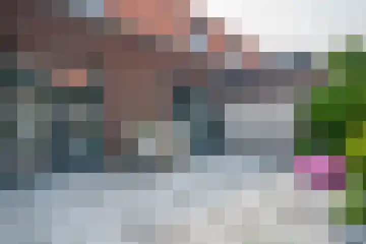 Terp 6 Alkmaar thumbnail 38
