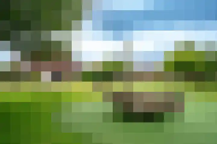 Terp 6 Alkmaar thumbnail 39