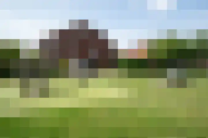 Terp 6 Alkmaar thumbnail 40