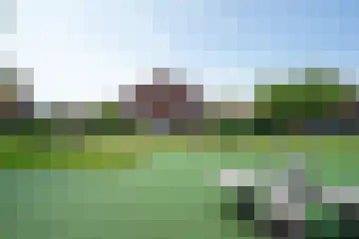 Terp 6 Alkmaar thumbnail 41