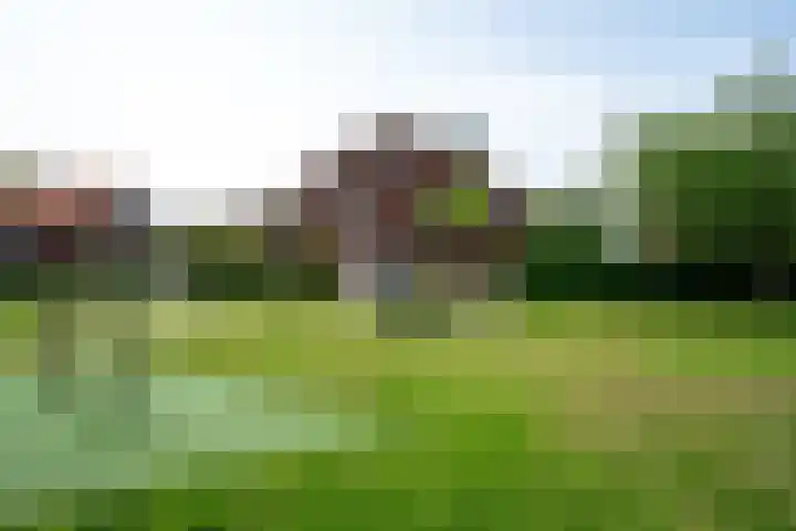 Terp 6 Alkmaar thumbnail 42