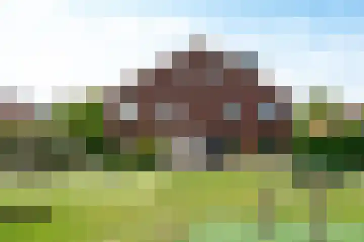 Terp 6 Alkmaar thumbnail 43