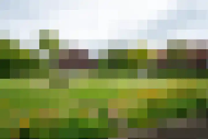 Terp 6 Alkmaar thumbnail 44