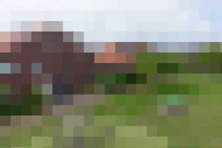Terp 6 Alkmaar thumbnail 45