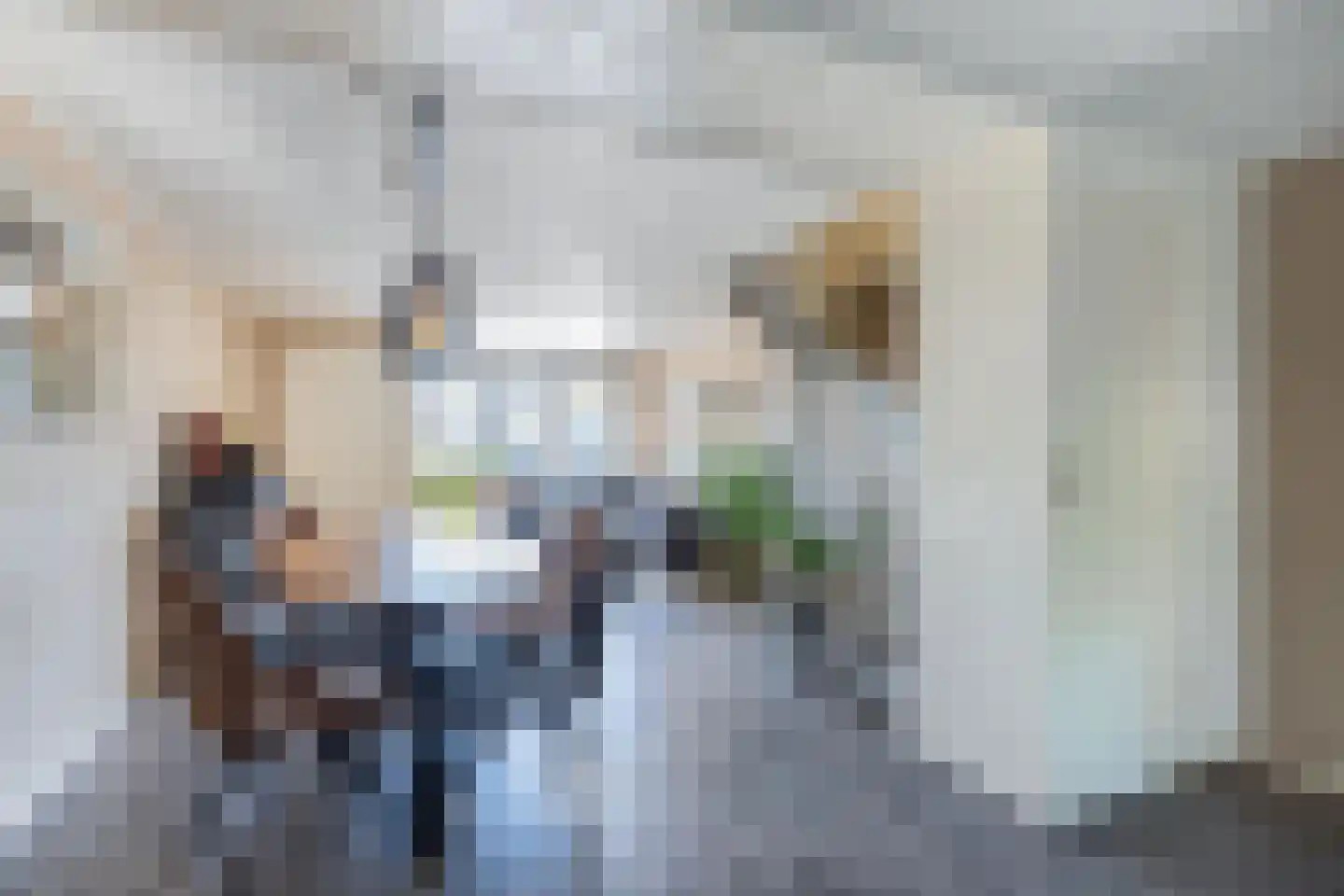 Terp 6 Wommels thumbnail 10