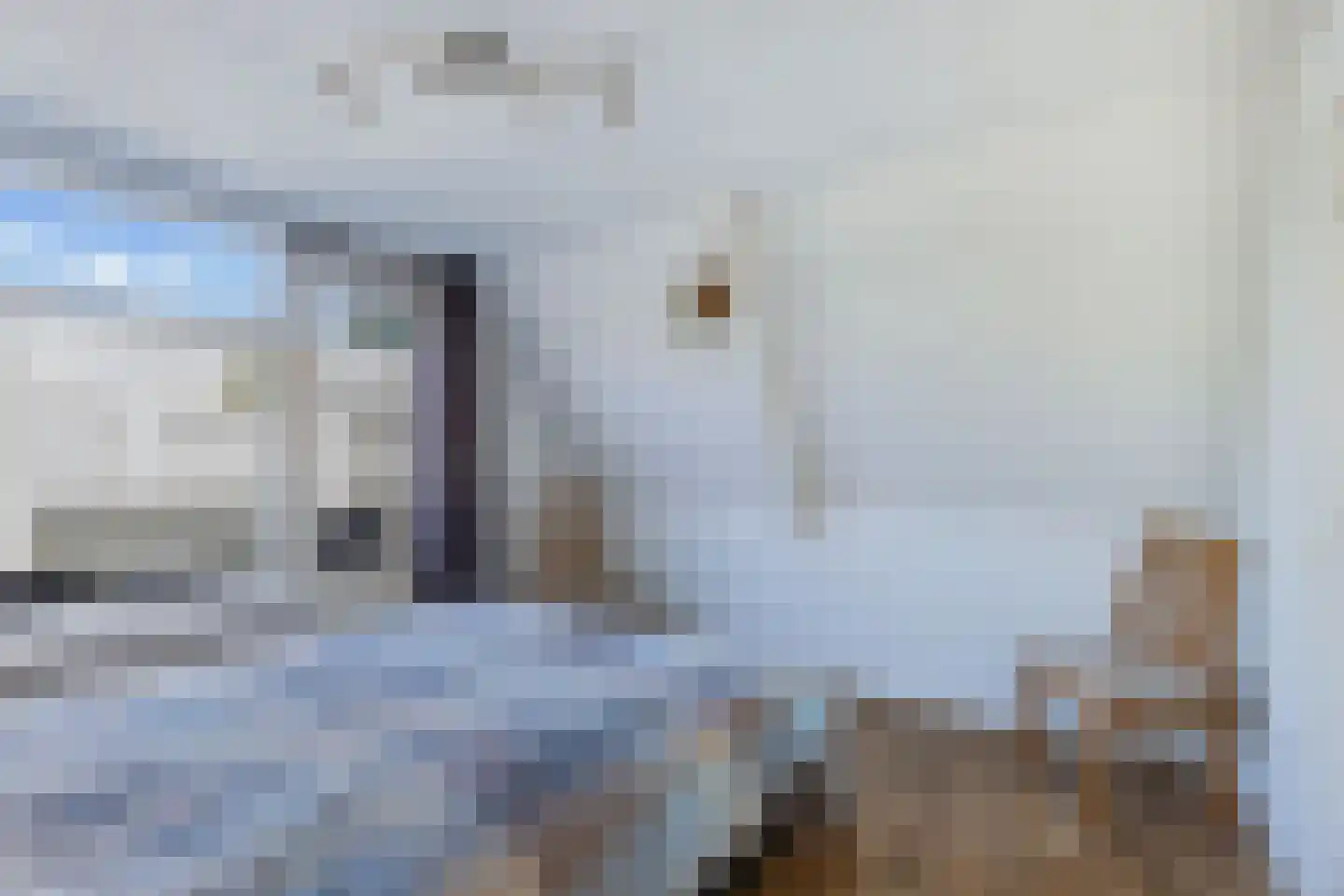 Terp 6 Wommels thumbnail 22