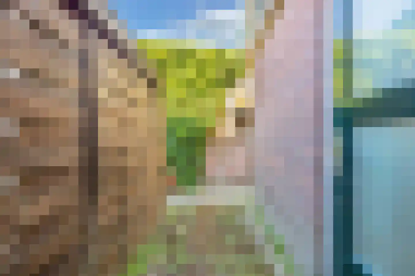 Terp 6 Wommels thumbnail 31