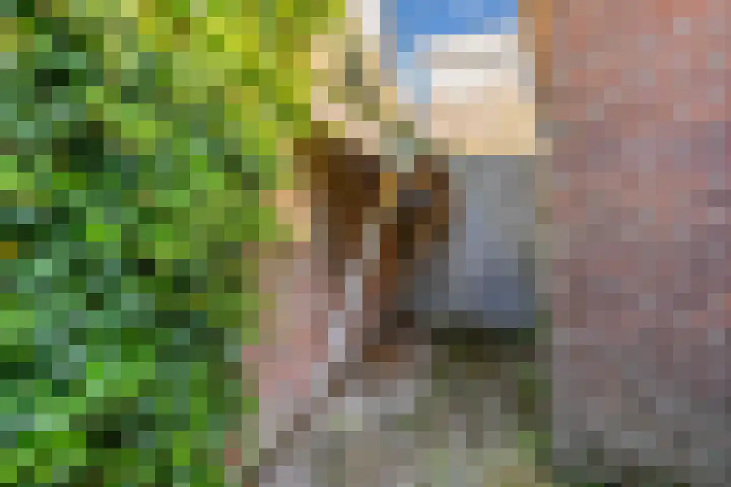 Terp 6 Wommels thumbnail 33