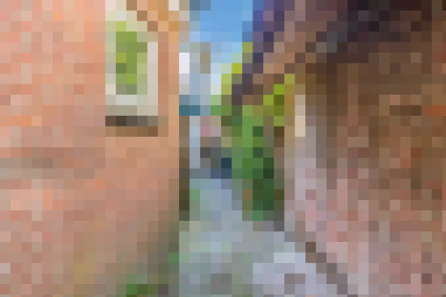 Terp 6 Wommels thumbnail 34