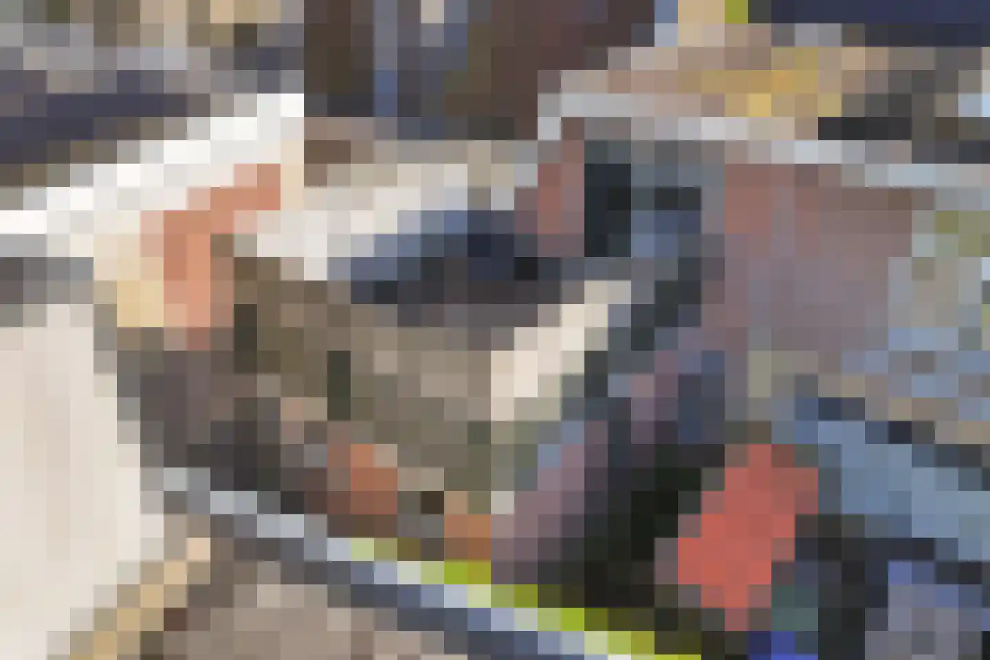 Terp 6 Wommels thumbnail 35